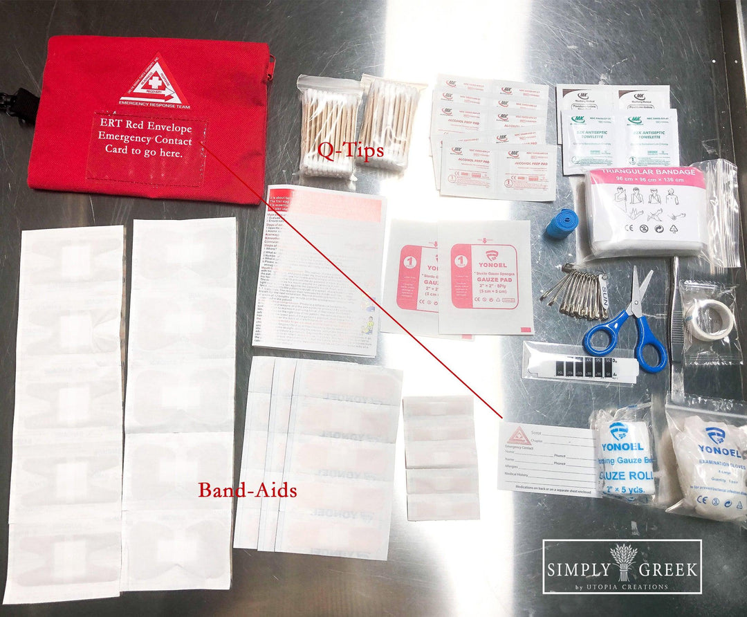 **NEW** Delta Emergency Travel First Aid Kit - Simply Greek