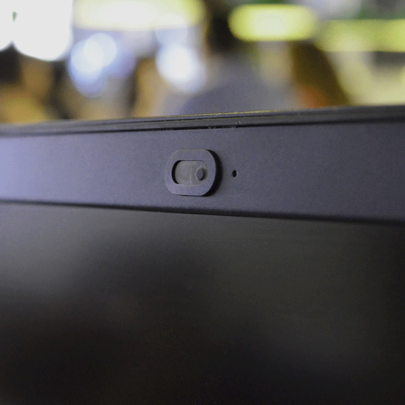 Delta Sigma Theta Webcam Covers Simply Greek